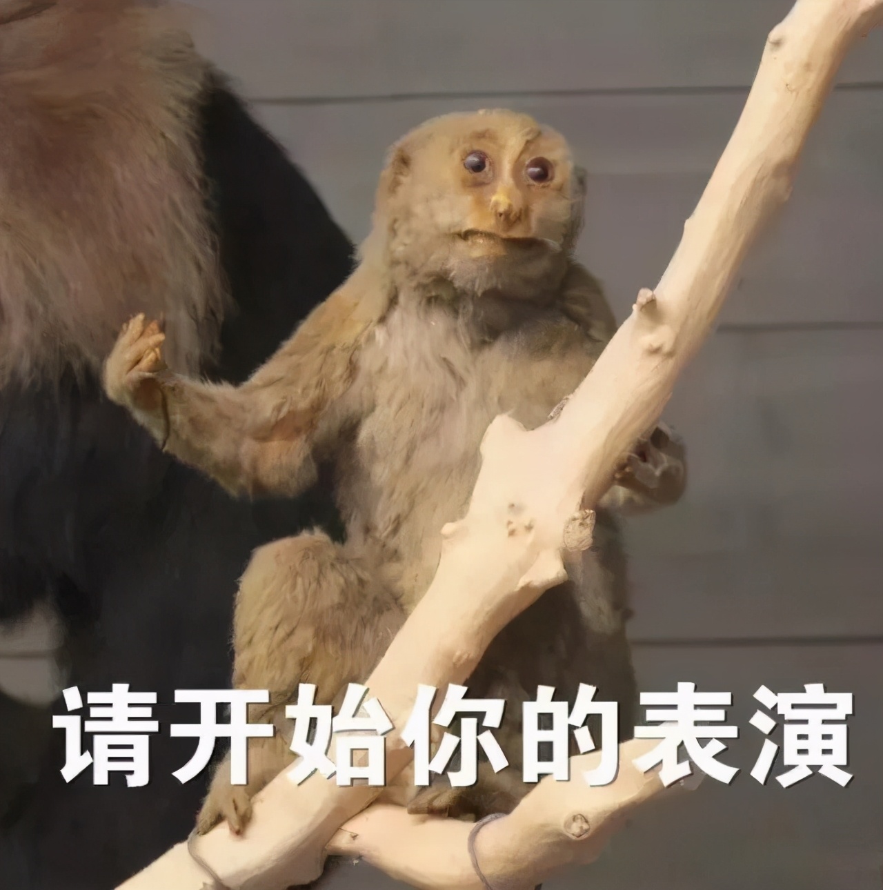 他心怀愧疚，借钱赔付了医药费，没想到…