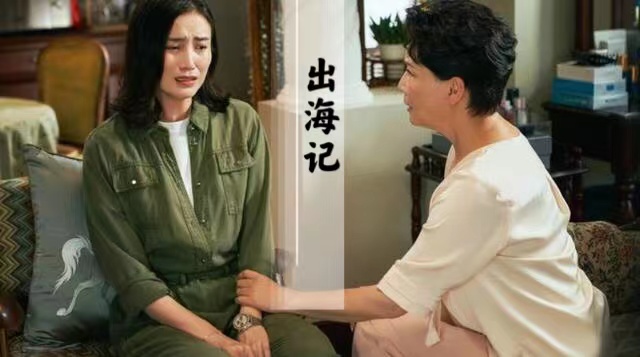 越南女孩惨遭中国小伙杀猪盘！翻译软件成了神助攻？