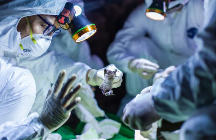 研究蝙蝠冠状病毒的重要机构，因与我国有合作