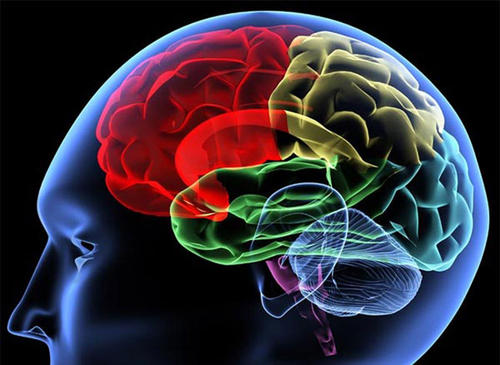 我们的记忆会出现偏差？科学家认为这种感觉是大脑内部的记忆体验