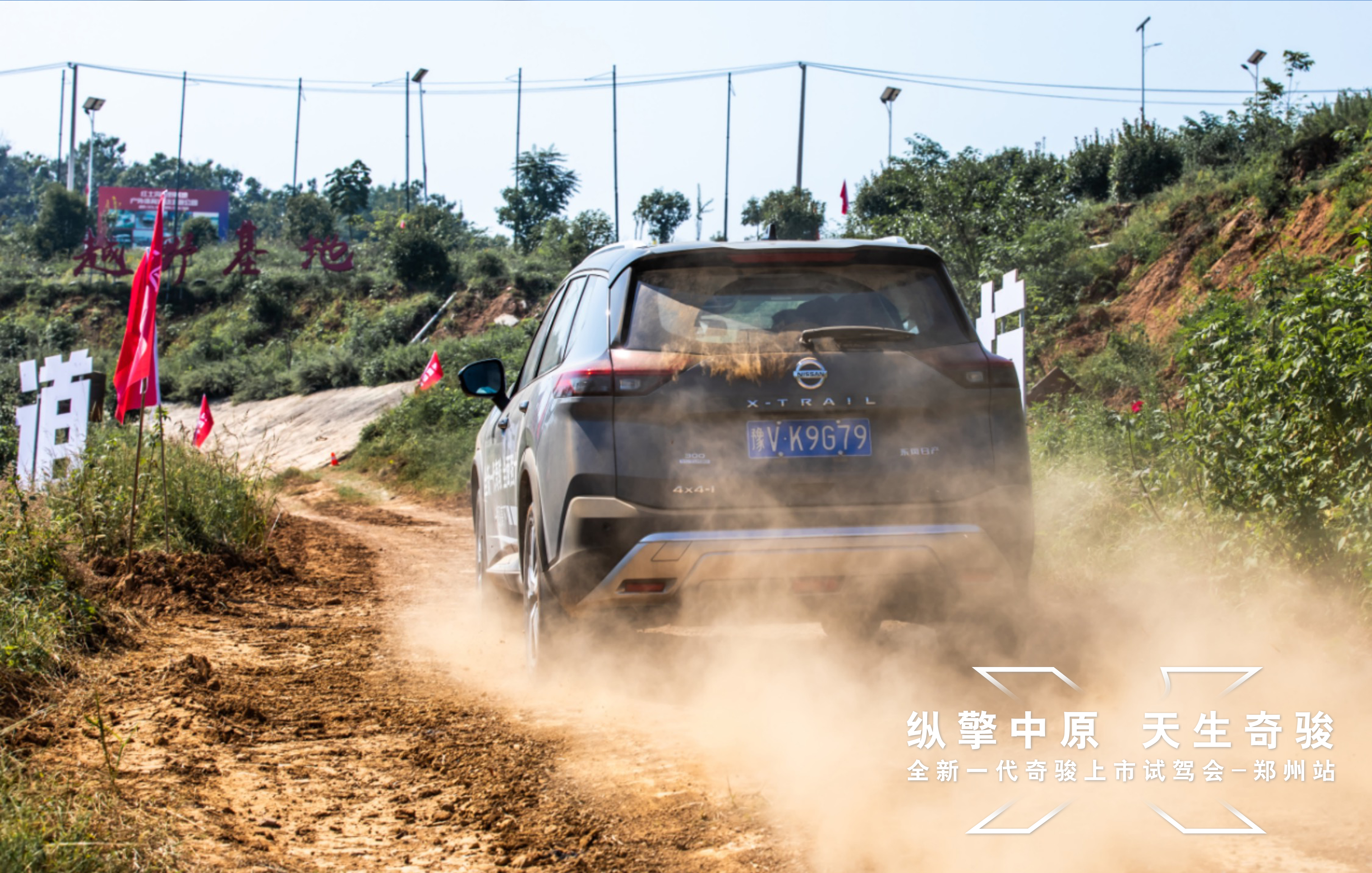 大河报汽车网