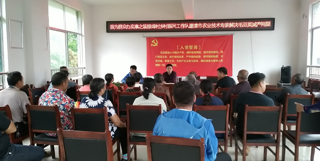 ​种好“小毛豆”，解决大问题——市人大机关驻装粮埠村乡村振兴工作队为群众办实事
