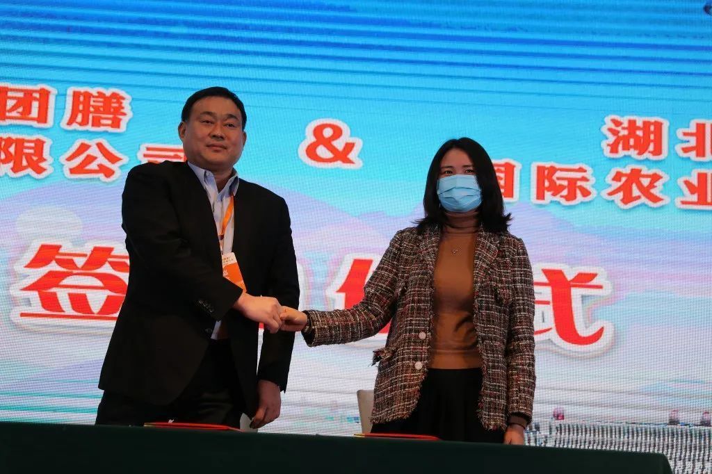 助農現場簽約六千萬！湖北廣電壟上產銷聯盟助力秭歸臍橙銷售