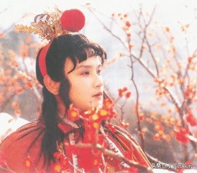 发文庆祝“逃离北京”成功，87版贾宝玉扮演者，
