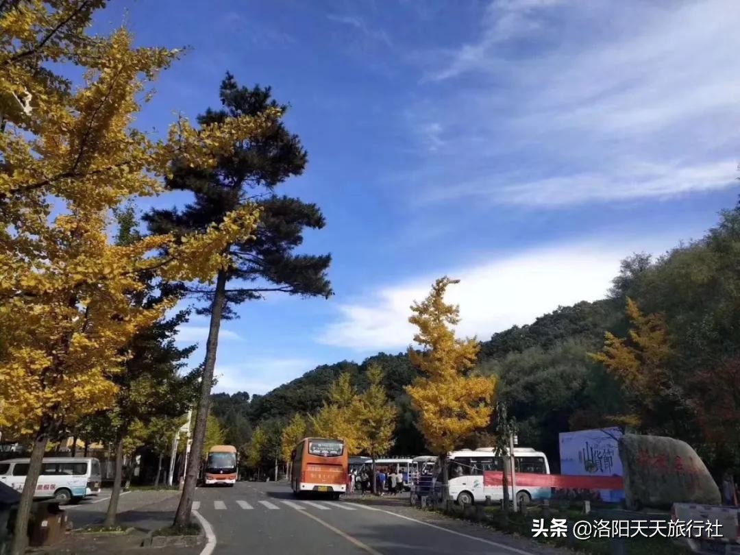 「洛阳周边山水游」嵩县白云山二日游行程