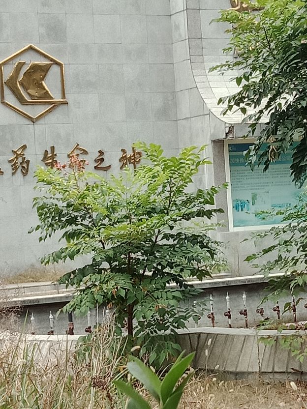 鲁抗医药老厂区的喷水池，已经杂草丛生，可金字招牌依然闪亮如新