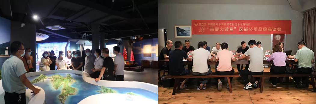 2021年平阳“南麂大黄鱼”全网话题活动举行 上线当天点击量破10w-识物网 - 中国商业零售品牌知识门户
