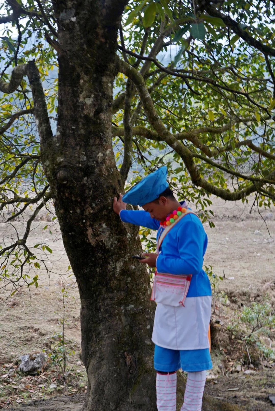 硬核！央视《味道》拍摄在腾冲完美收官！