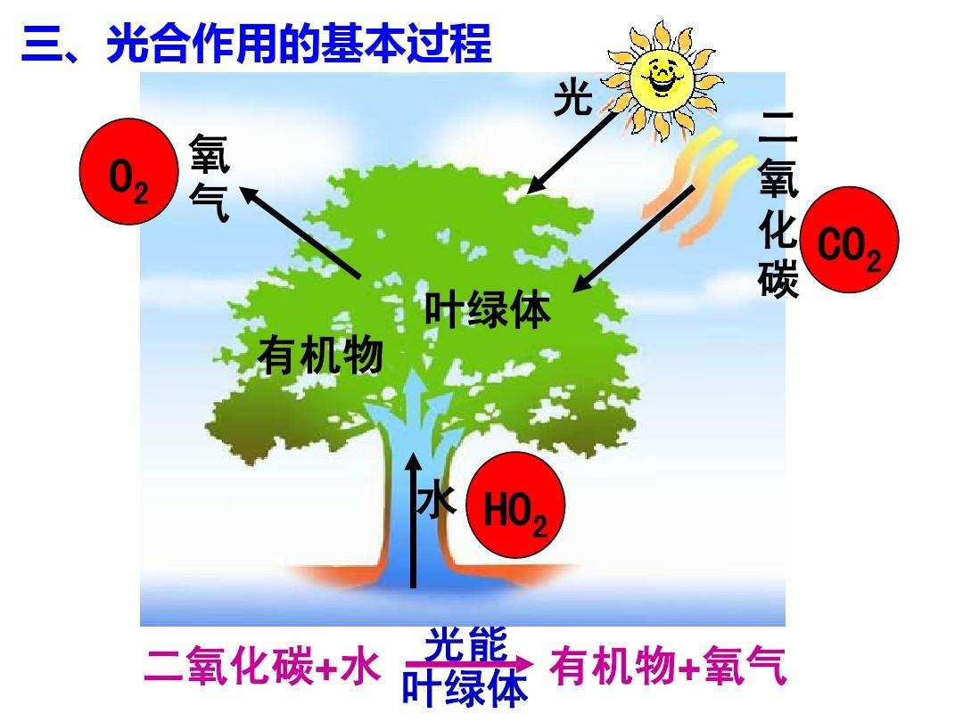 二氧化碳变淀粉图片