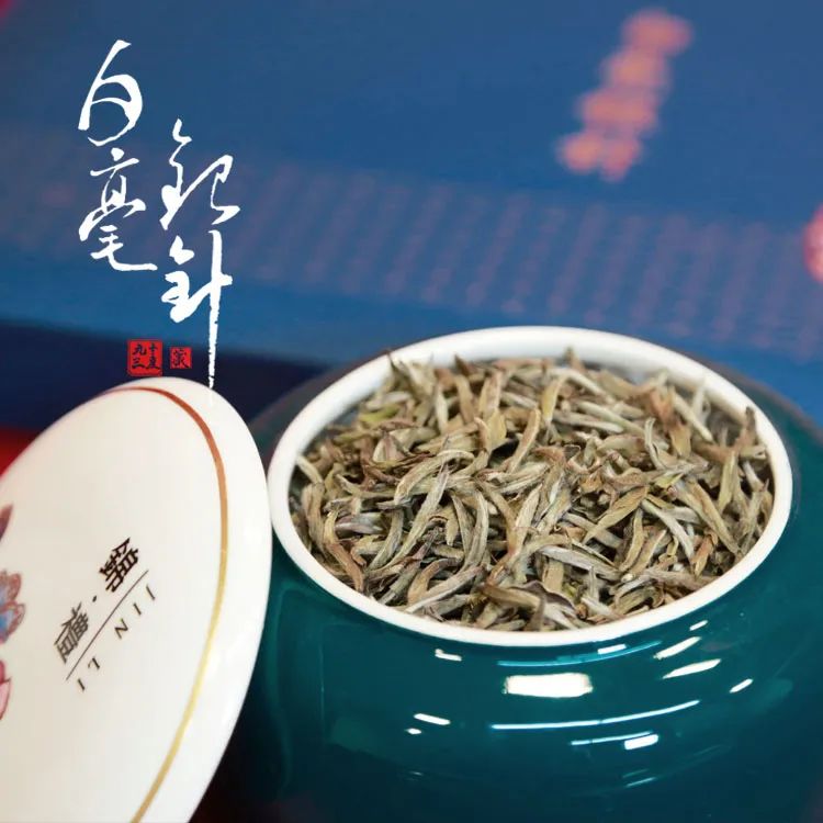 “喝不喝春白茶？”進(jìn)階茶友的心動(dòng)暗號(hào)