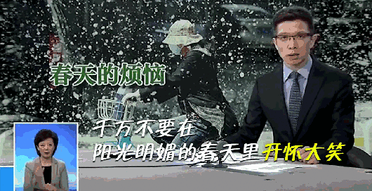 柳絮讓人苦不堪言，沒想到還是美食，在吃貨麵前為何依然猖狂？