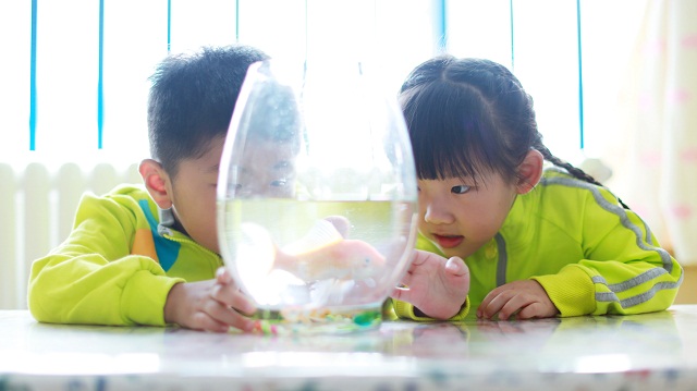 德培DAP：你隨口給孩子貼上的標簽，他要用一輩子來撕掉