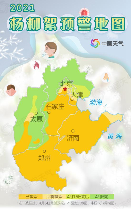 柳絮讓人苦不堪言，沒想到還是美食，在吃貨麵前為何依然猖狂？