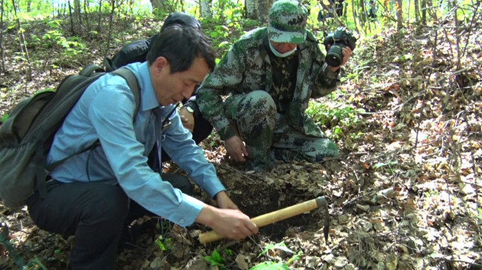 黑龙江双鸭山发现东北抗联六处教室遗址