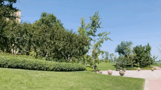 小而美，郑州这些公园你不容错过