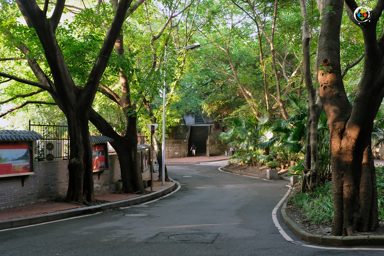 重庆文化宫全面启动改建，68年陪伴后暂时告别，重回50年代