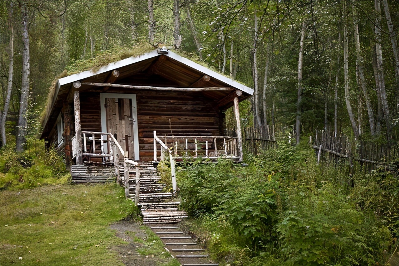 意大利 植物入侵 的公寓 一栋1700万元 回家像森林 资讯咖