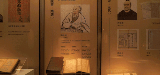 投资超2亿！全国规模最大国字头中医药博物馆面世