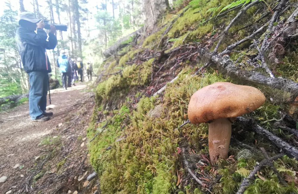 松赞不只豪华酒店！野去x松赞自然探索三大特色行程隆重推出