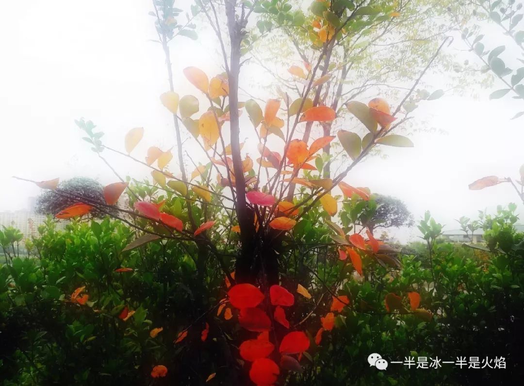 散文诗：写给秋天-第1张图片-非凡网