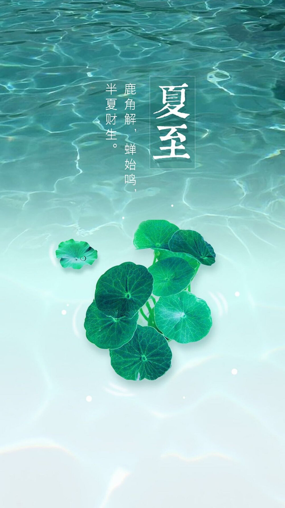 夏至已至 不负时光不负己 超美小诗-第2张图片-非凡网