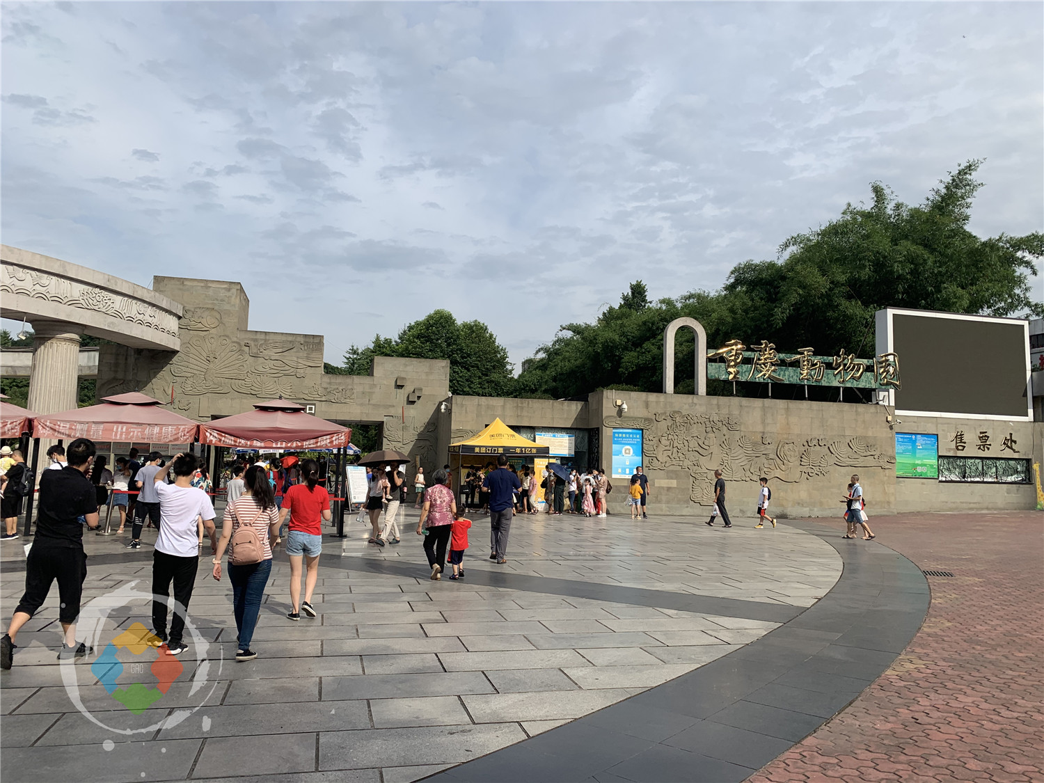 年纪最大的熊猫在哪里？重庆动物园的“新星”，迎来38岁生日