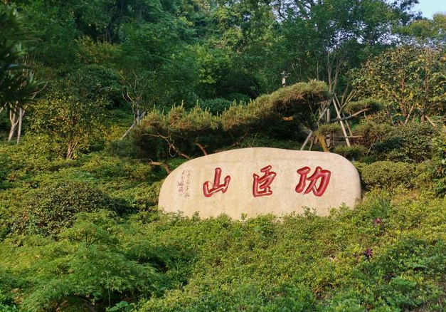 临安城南功臣塔，千年不倒；叹吴越旧事，尽在小城春光里