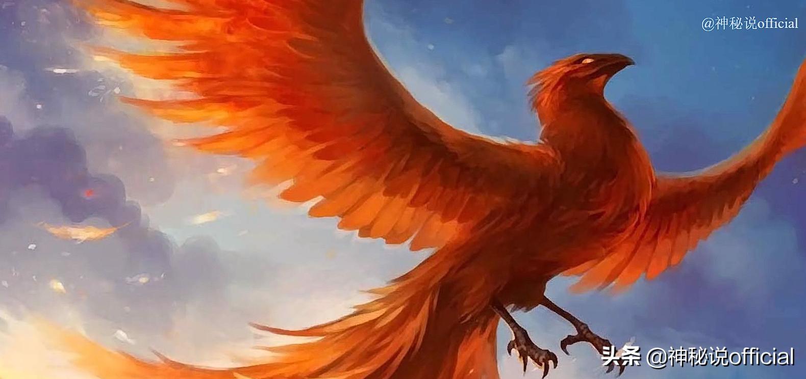 The "black phoenix" was photographed in the northeast, with a huge body