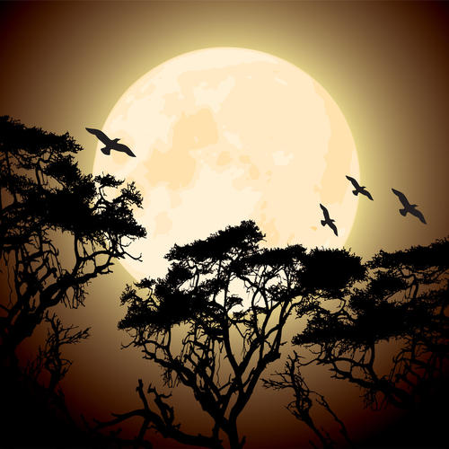 月亮枫叶夜晚的图片图片