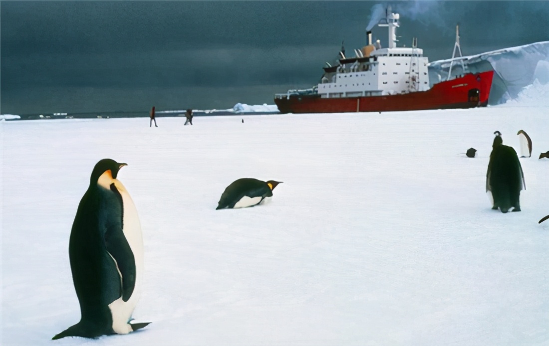 後果不堪設想！ 智利把新冠帶到了南極，當地環境能讓病毒存活很久