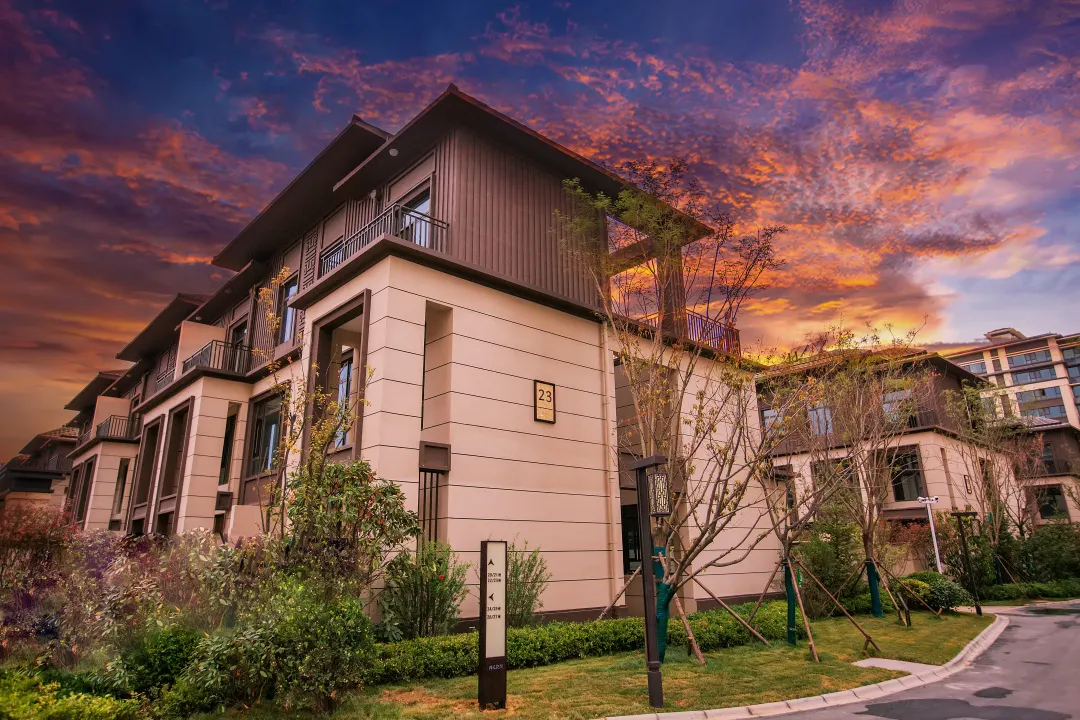 曾经播下的希望种子，此刻已枝繁叶茂