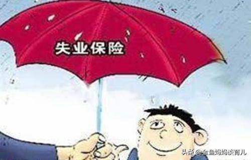 失业保险有什么用？如何才能领取失业保险？这篇文章讲清楚了 第1张