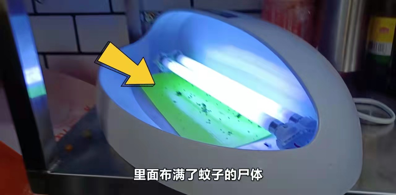 杨国福麻辣烫火速道歉，消费者：看过曝光视频再也不上你家吃了