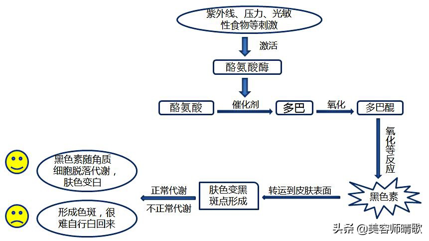 4款淡斑精华 | 小白瓶平价，小银瓶普遍，肌光精华有点惊喜-第3张图片-农百科