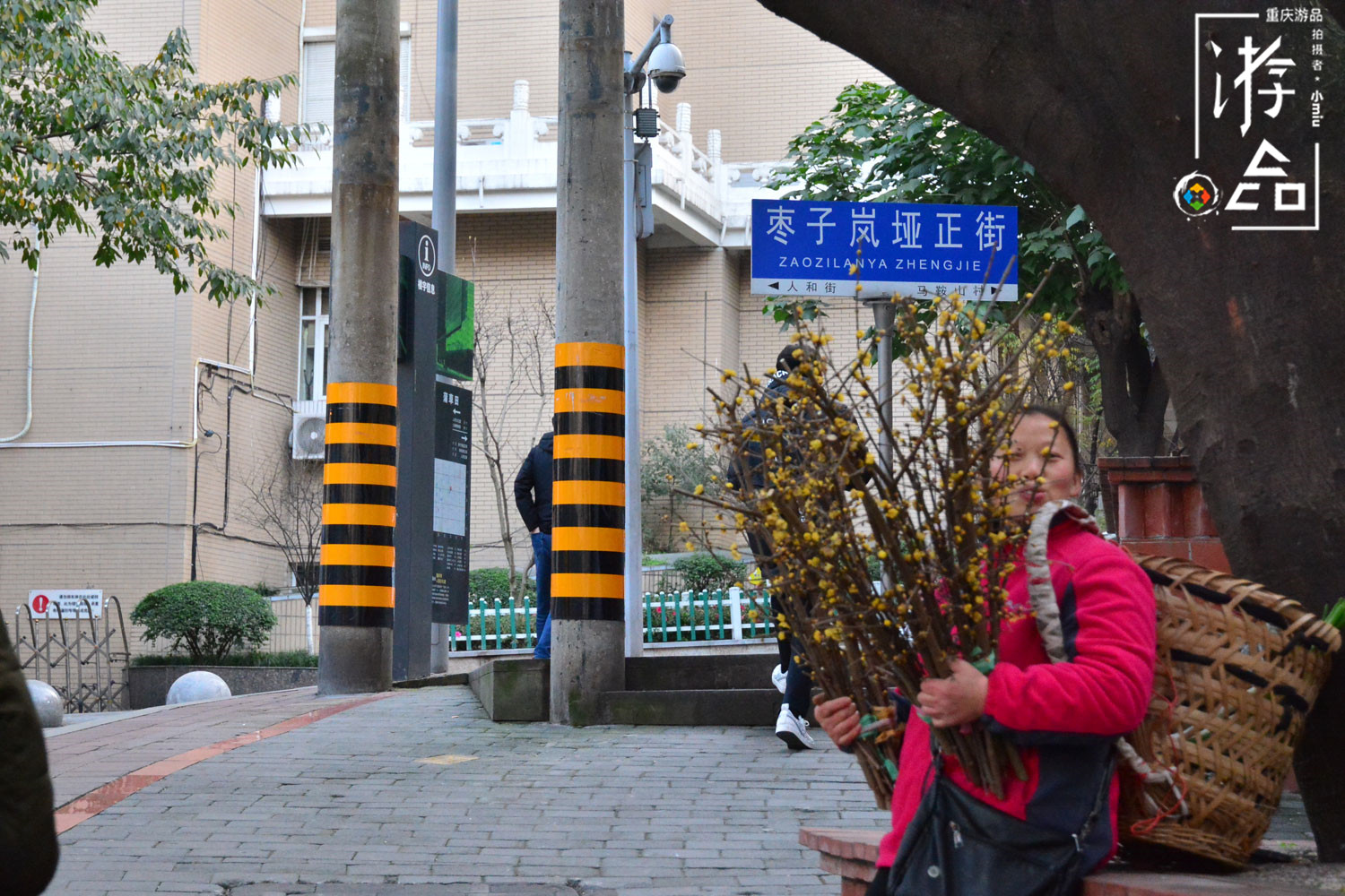 重庆枣子岚垭一巷是“败笔”？网红景点固然很美，但历史不能遗忘