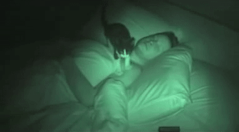 女孩睡著後被貓打了4個小時，但小貓咪可能沒什麽壞心思