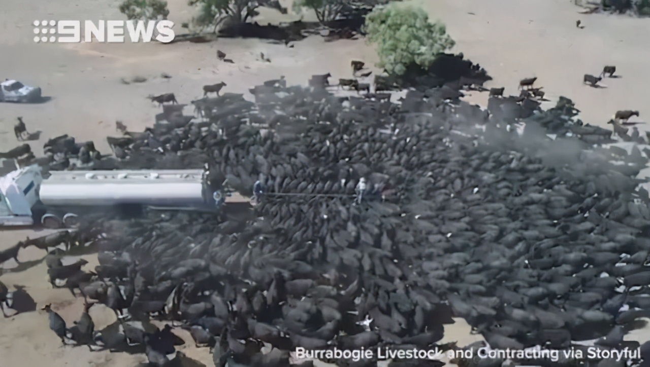 ��ռһƬ��½���Ĵ�����ȴû��һ����ӣ�һ�����