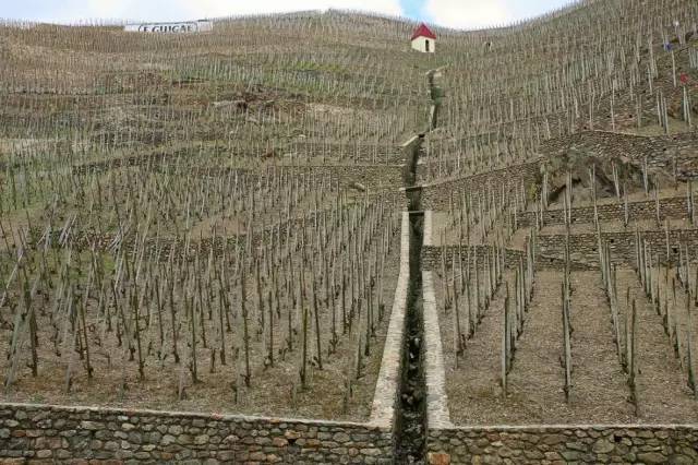 罗纳河谷：法国最大的法定红葡萄酒产区