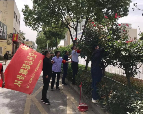 河南南阳：市城市管理局开展“市花月季义务修剪”主题党日活动