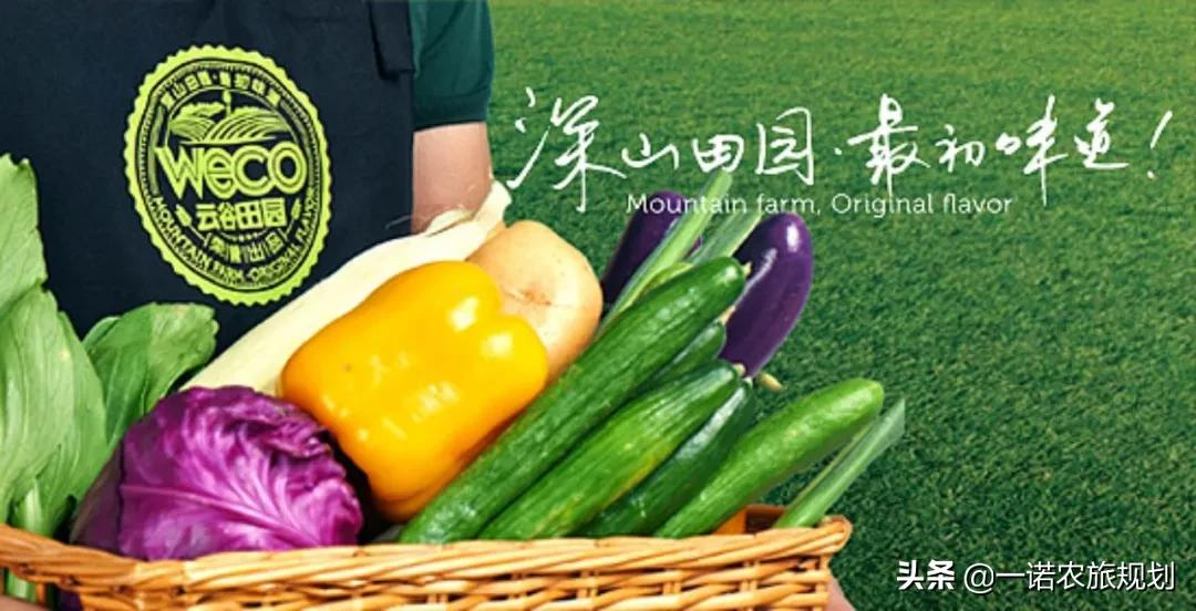 中央六部委：“田园+康养+文旅”模式=黄金10年