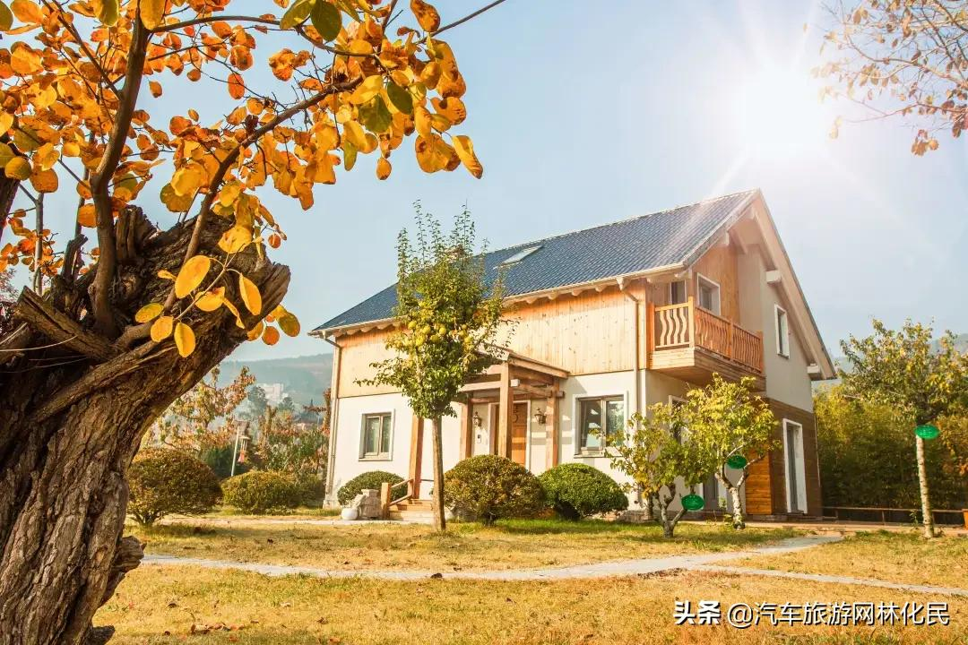 沂蒙马泉休闲园万亩樱桃花开,门票免费送啦
