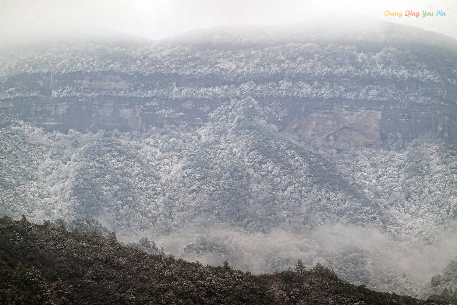 重庆难得的滑雪胜地，冬日里的金佛山，南方人也能看雪了