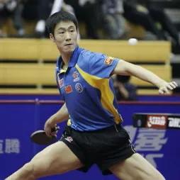 中国男子乒乓球运动员，如果进行历史地位的排序，前十都有谁？