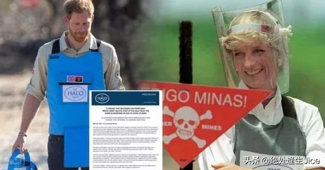 哈里向戴安娜支持的慈善机构传递最真挚情感，