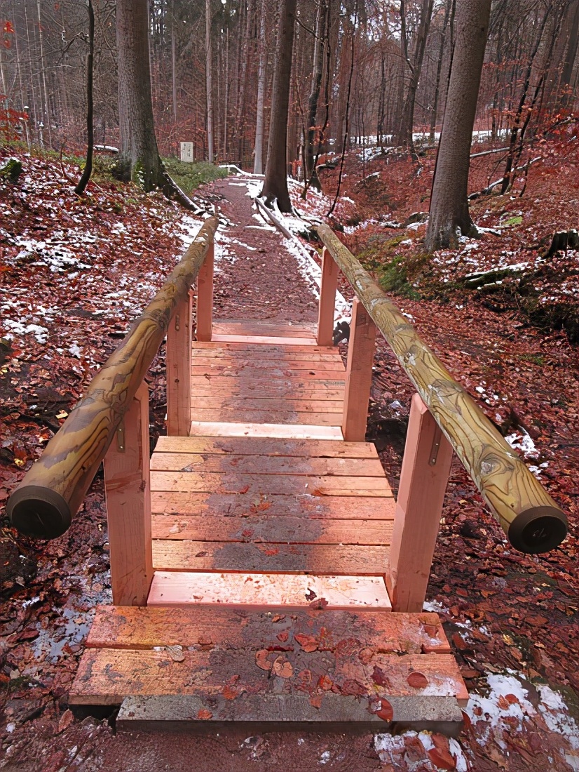 德国UNESCO世界地质公园里的童话小径：儿童探索自然天堂