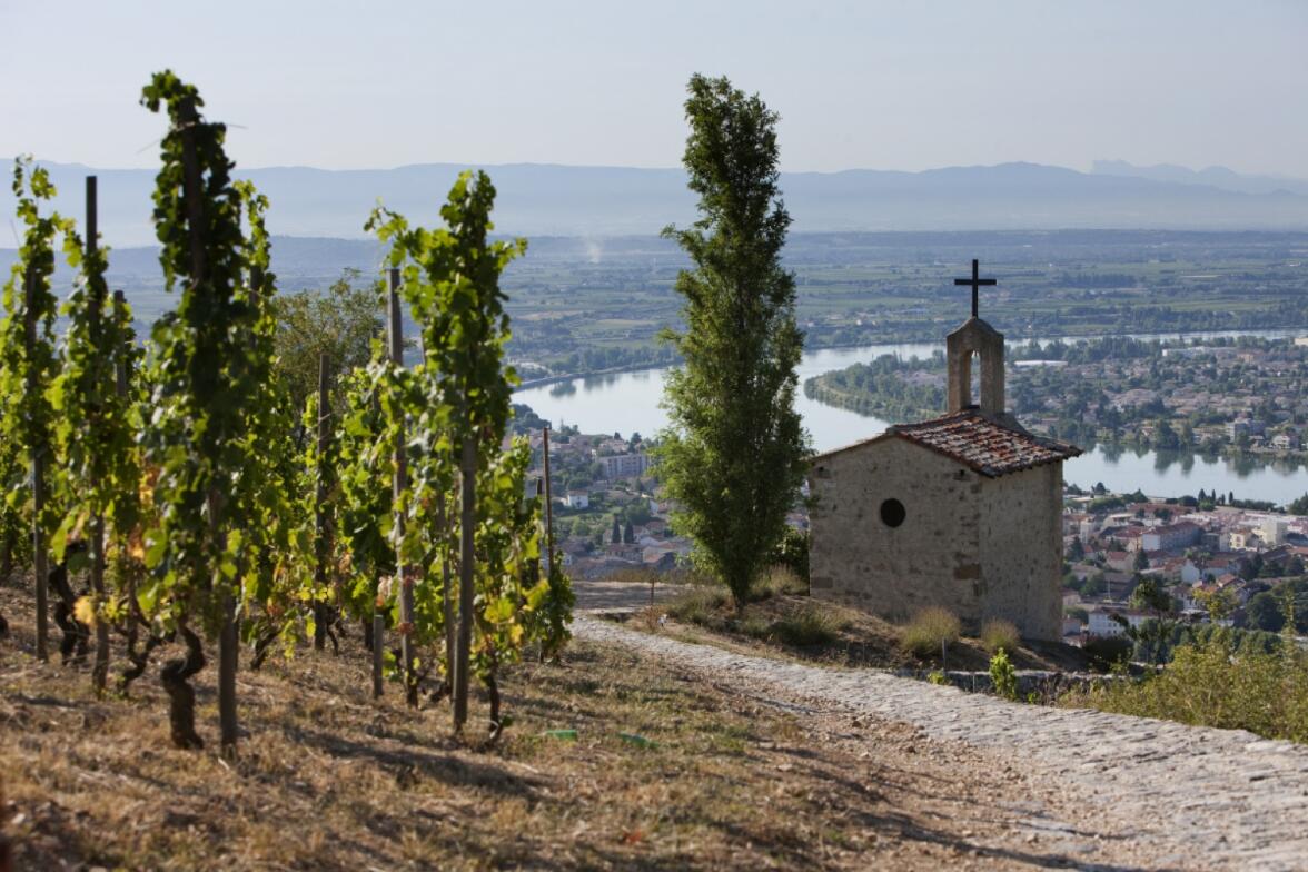 罗纳河谷：法国最大的法定红葡萄酒产区