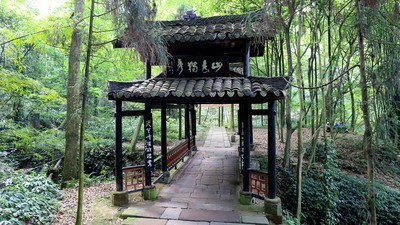 天下名山僧占多 曾祥裕风水团队佛教圣地峨眉山考察记