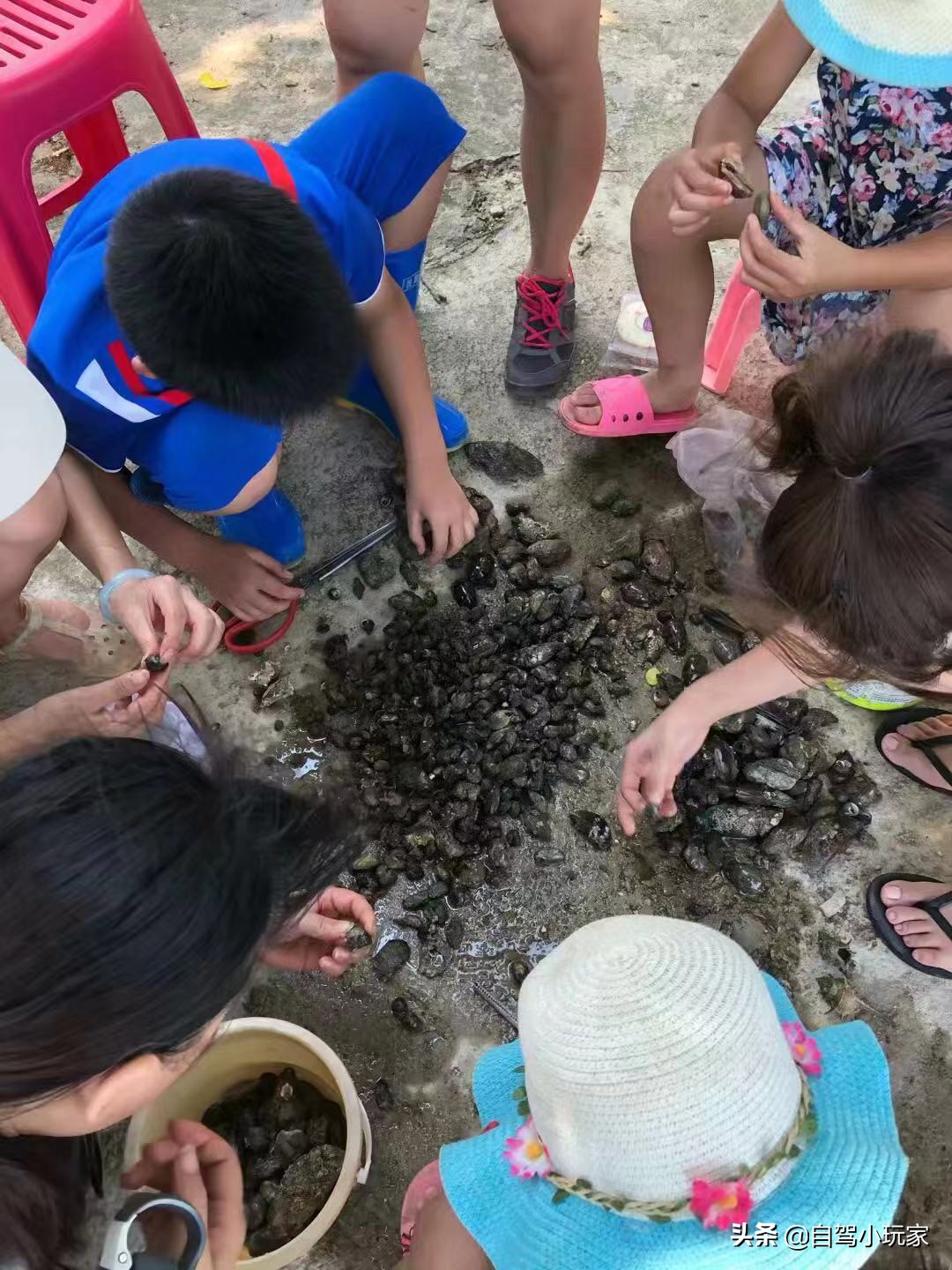 深圳唯一一个免费的海边农家乐野炊基地，开车直达，而且不限行
