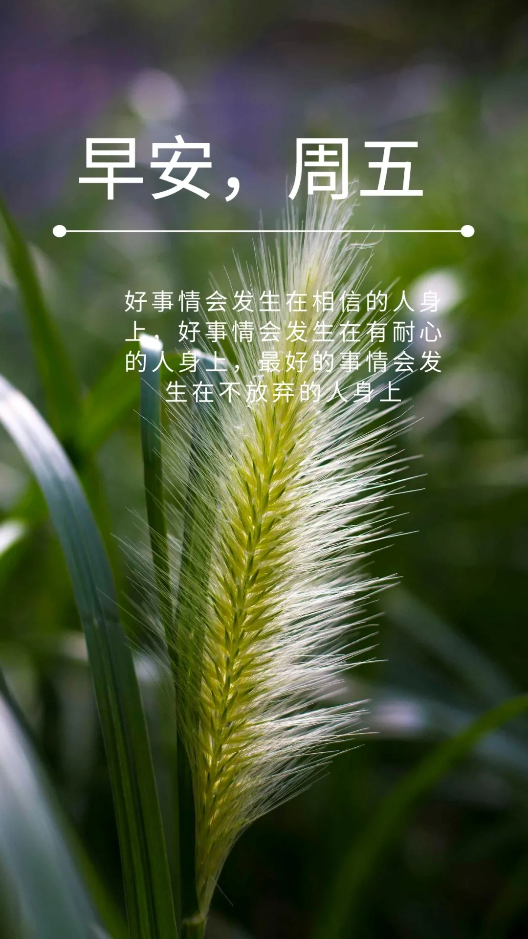 早安心语，正能量走心语录句子很好看的早上好图片图片