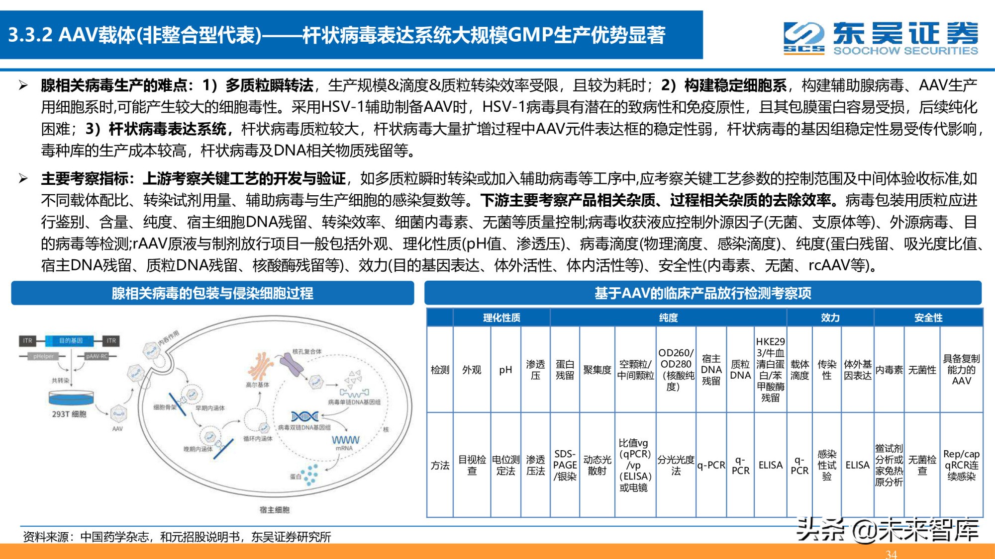 细胞基因治疗CDMO行业深度报告：星火已成燎原势